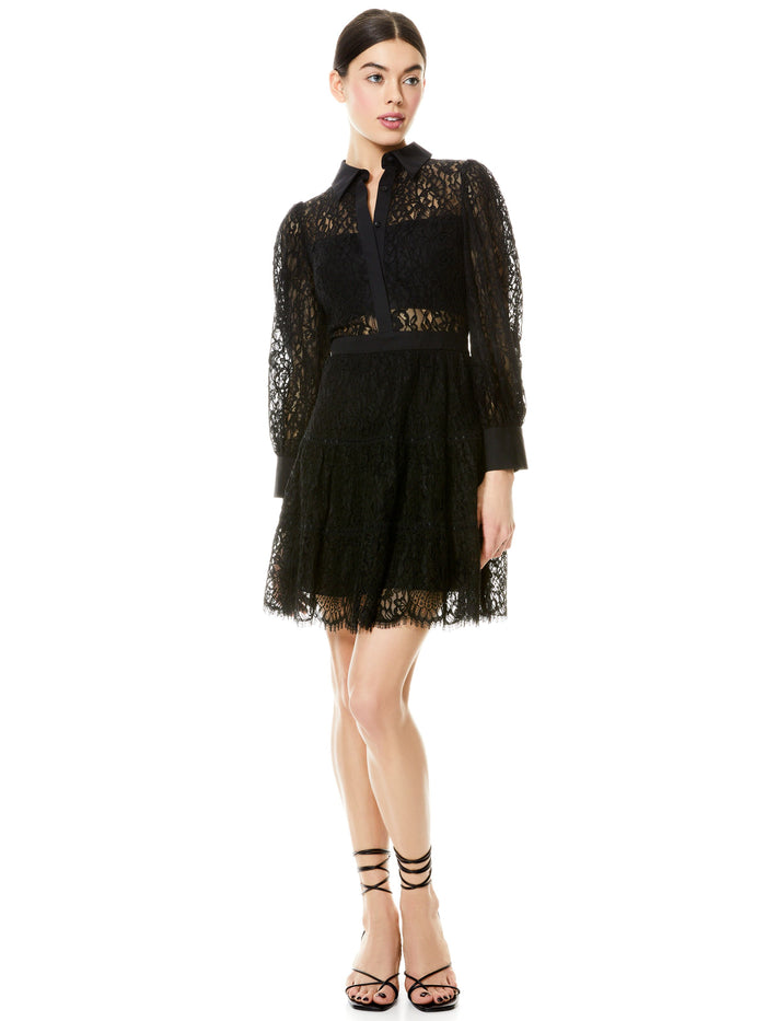 ANAYA COLLARED LACE MINI DRESS - BLACK