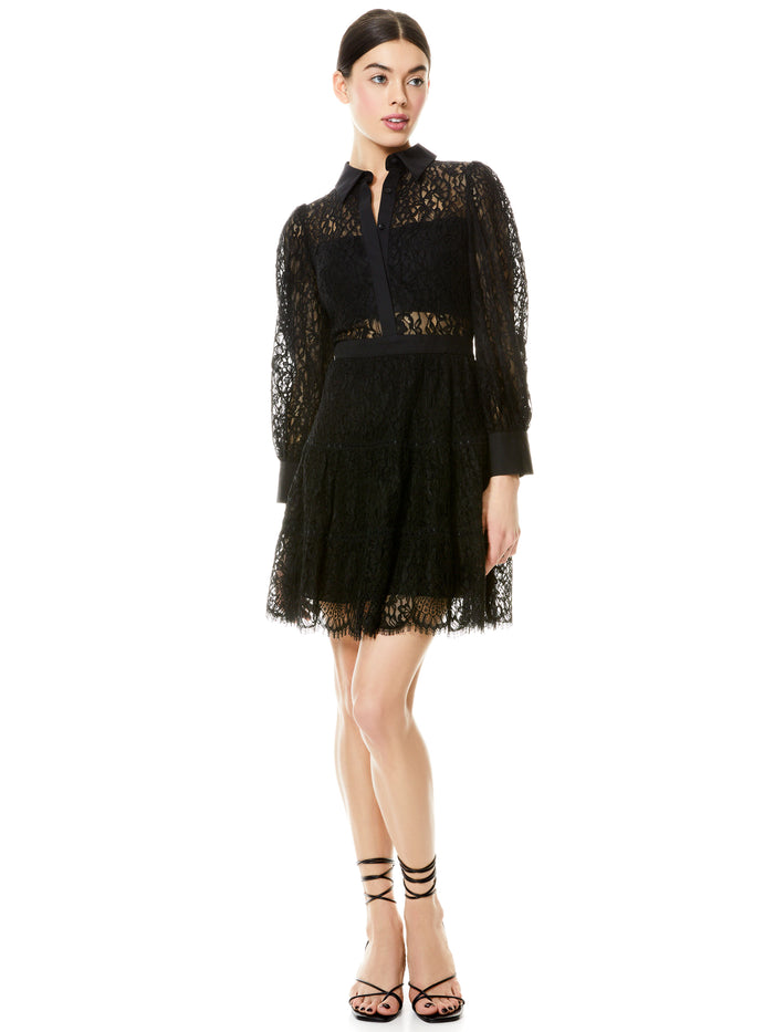 ANAYA COLLARED LACE MINI DRESS - BLACK