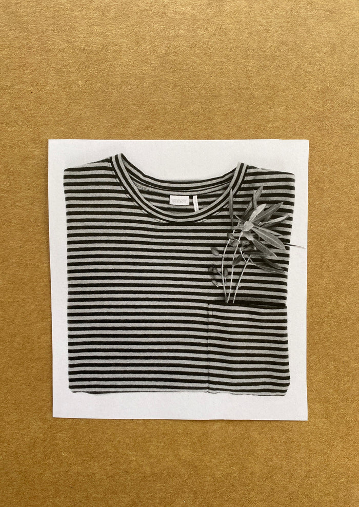 Bold Stripe Cotton Short Sleeve Tee | Azure Blue/Tawny Brown