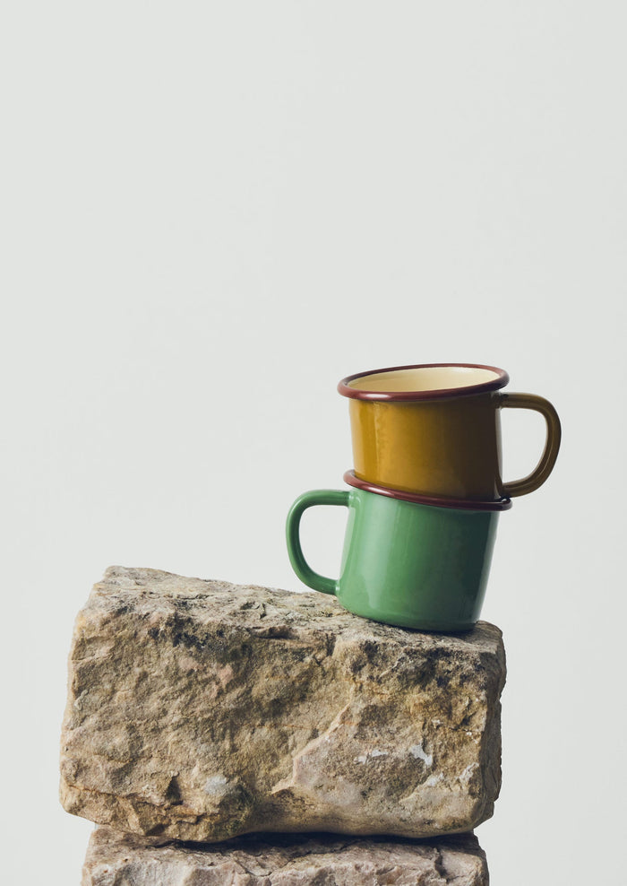 Contrast Rim Enamel Mug | Mint/Chestnut