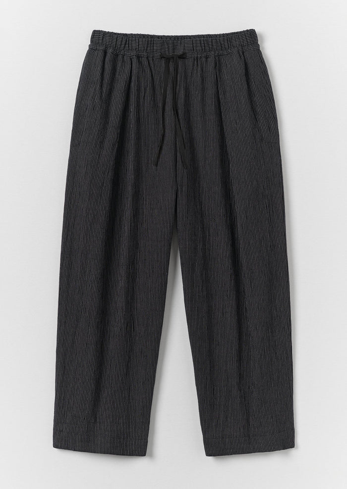Fine Stripe Crinkle Cotton Pleated Pants | Earth/Ecru