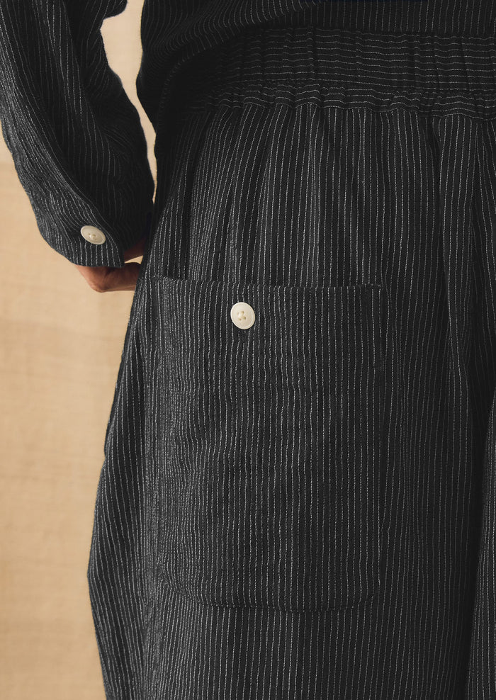 Fine Stripe Crinkle Cotton Pleated Pants | Earth/Ecru