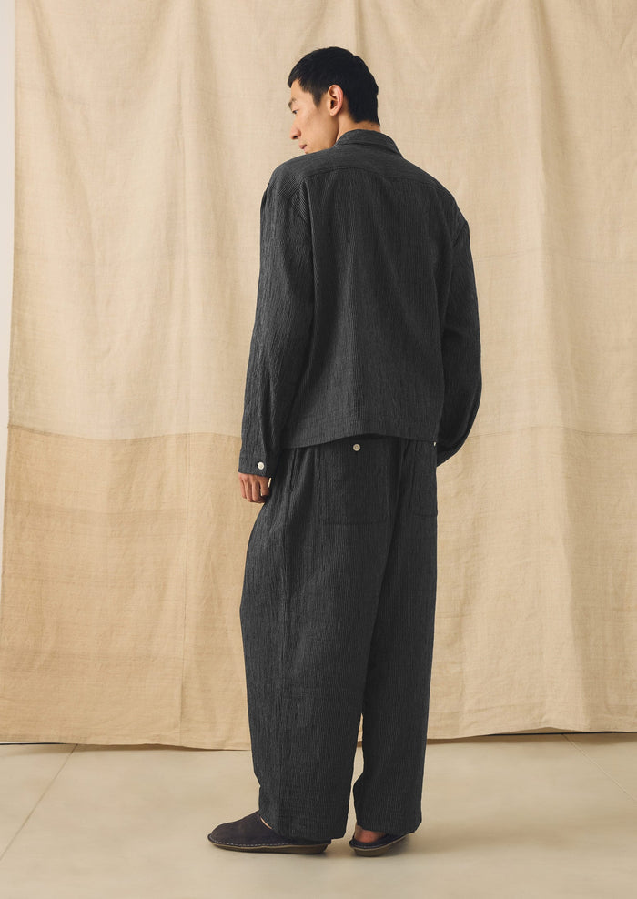 Fine Stripe Crinkle Cotton Pleated Pants | Earth/Ecru