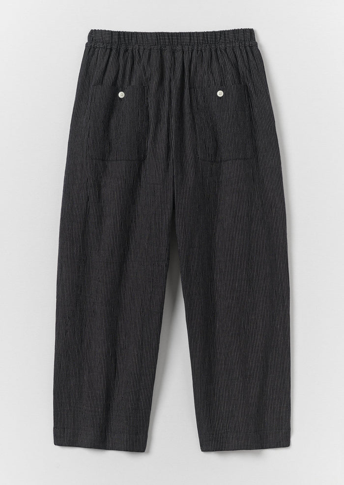 Fine Stripe Crinkle Cotton Pleated Pants | Earth/Ecru