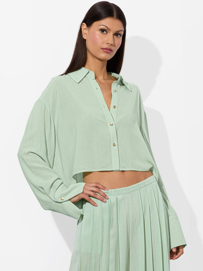 FINELY CROPPED BUTTON DOWN - GREEN TEA
