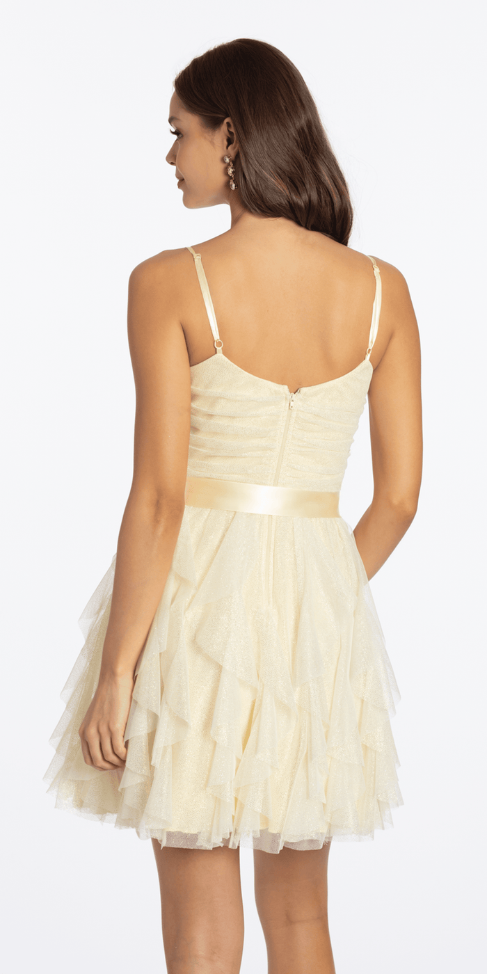 butter/size/s/missy/Camille La Vie/Glitter Mesh Corset Fit and Flare Dress with Satin Tie/back