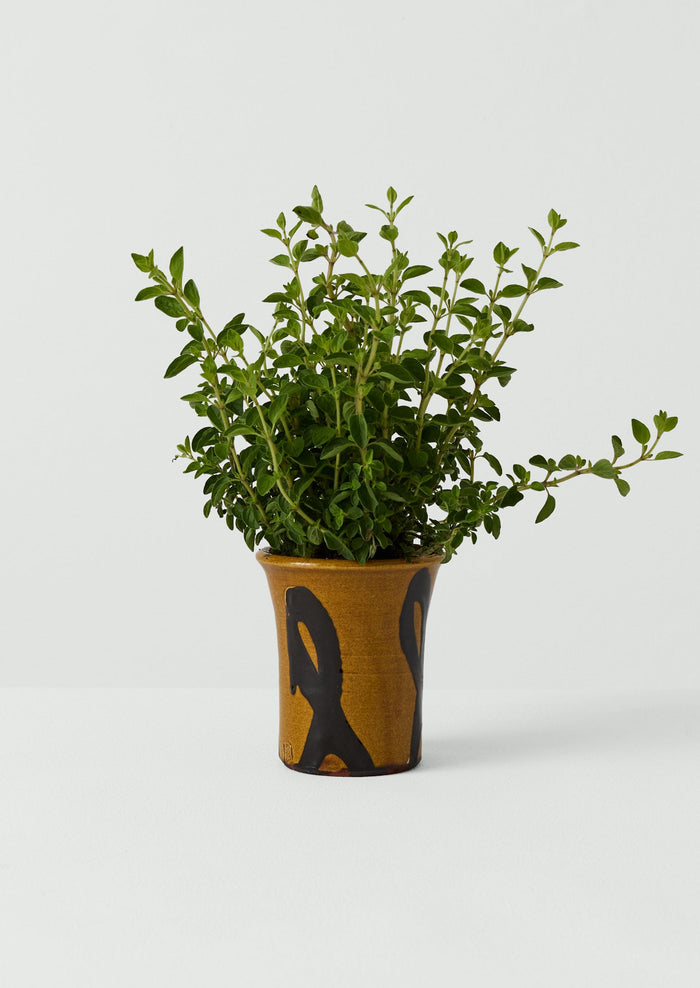 Hoxton Gardenware Small Slipware Planter | Honey