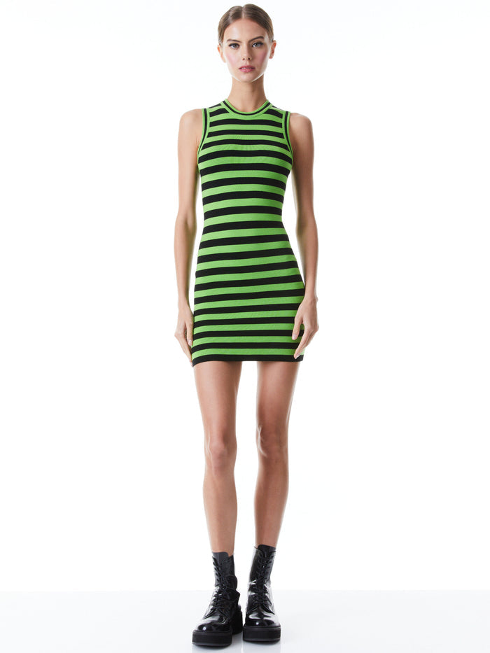 LANDI STRIPED MINI DRESS - PARROT/BLACK