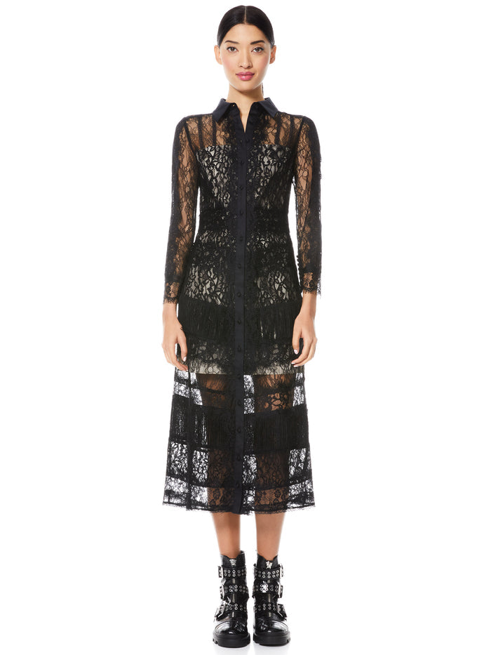 SIBELLA COLLARED LACE MIDI DRESS - BLACK
