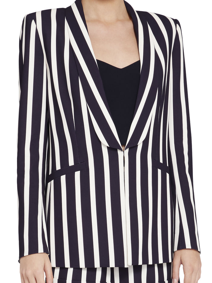 SKYE STRIPED BOYFRIEND BLAZER - MOONDUST STRIPE BLACK