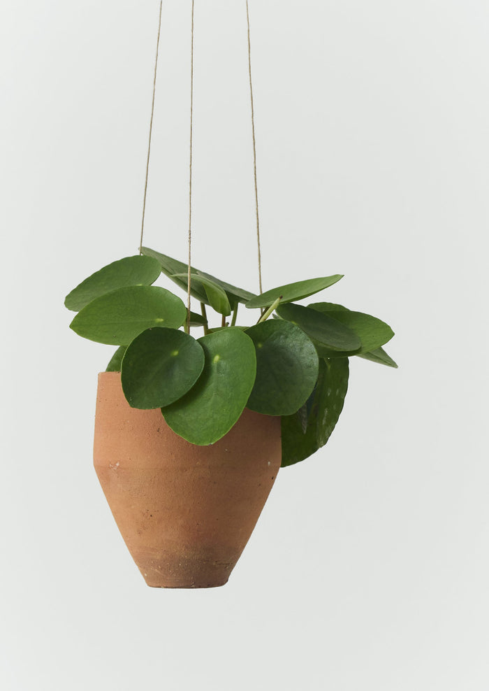 Soller Terracotta Hanging Planter Set | Terracotta