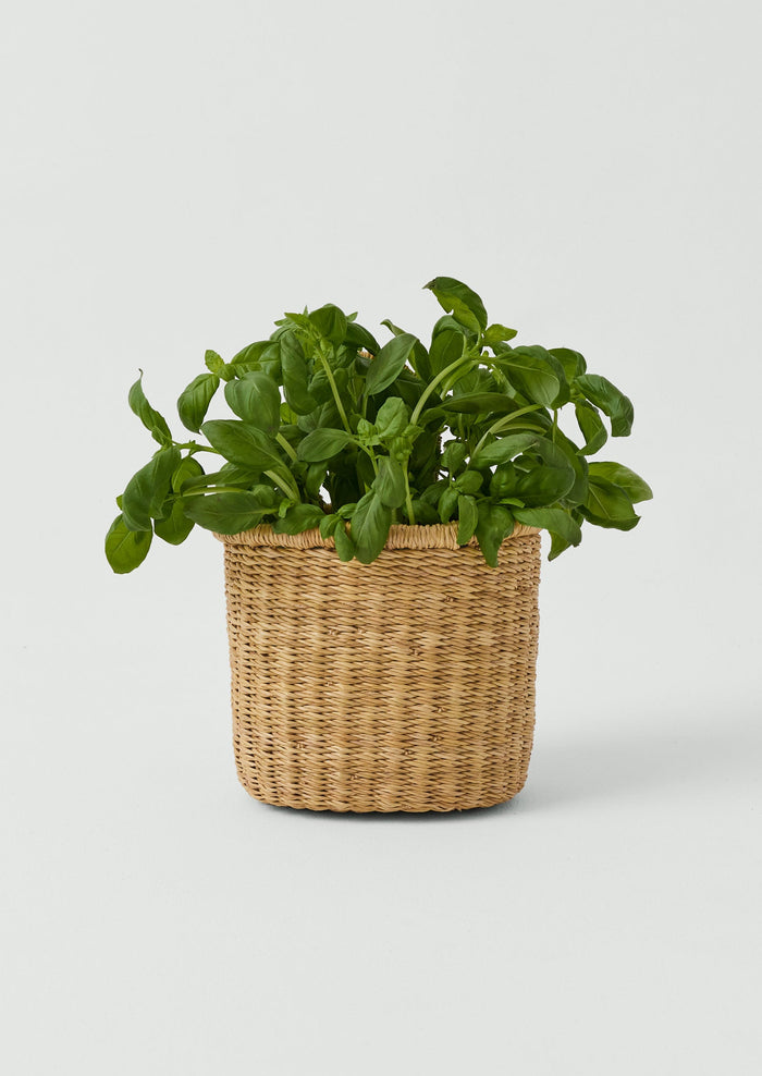 Veta Vera Grass Hanging Storage Basket | Natural