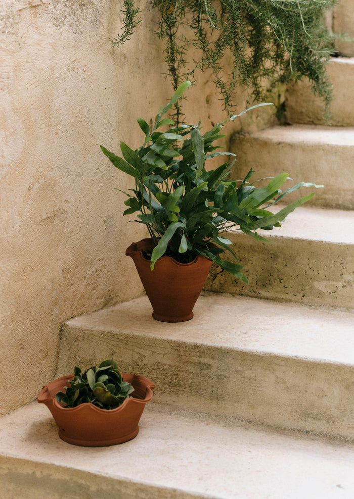 Willow Pottery Terracotta Planter | Terracotta