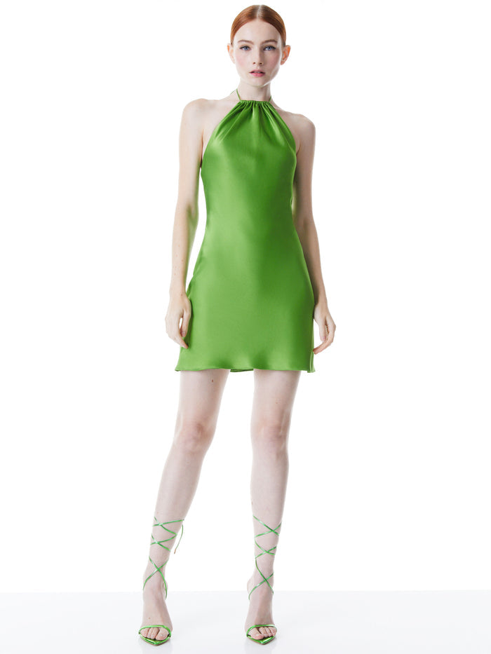 ZUMI A-LINE MINI DRESS - PARROT
